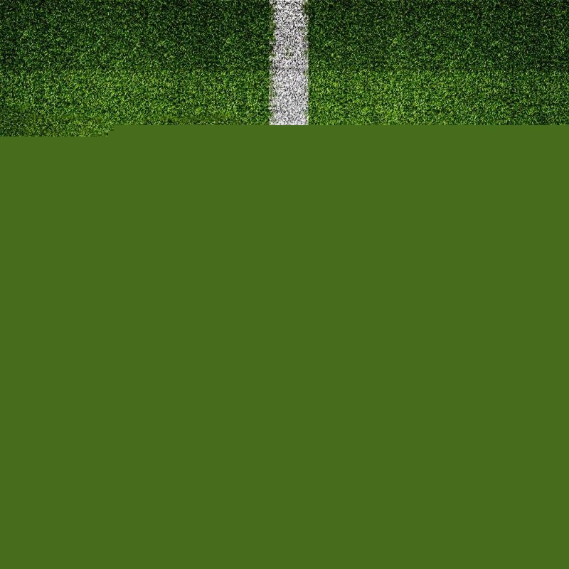 也是法国队