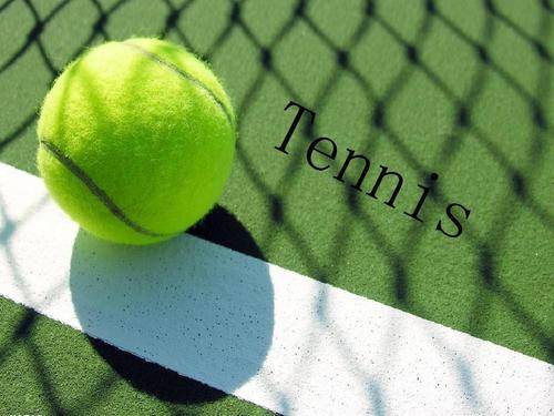 了极高的专 了极高的专