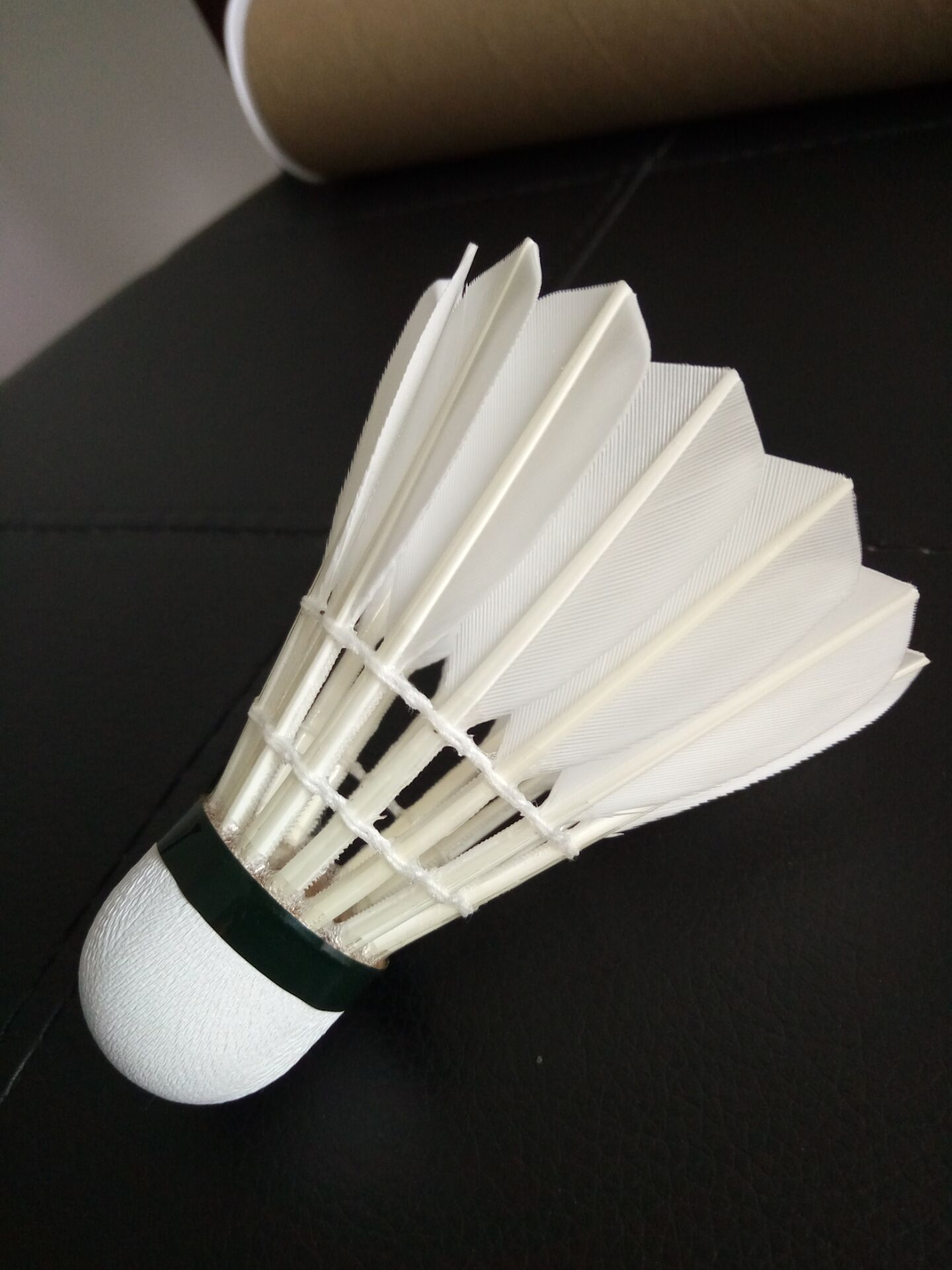 体校授予日 体校授予日