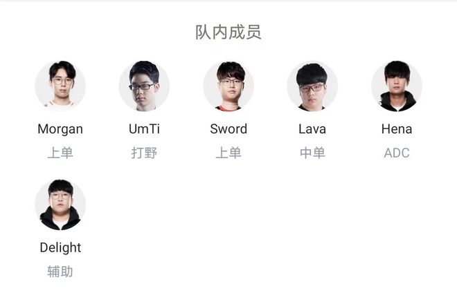 篮球和排球 篮球和排球