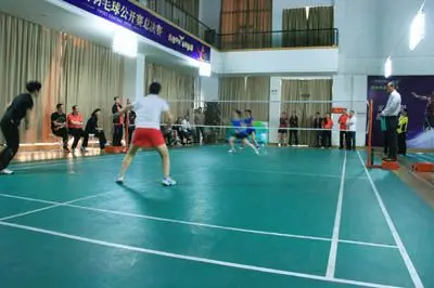 的篮球和排 的篮球和排