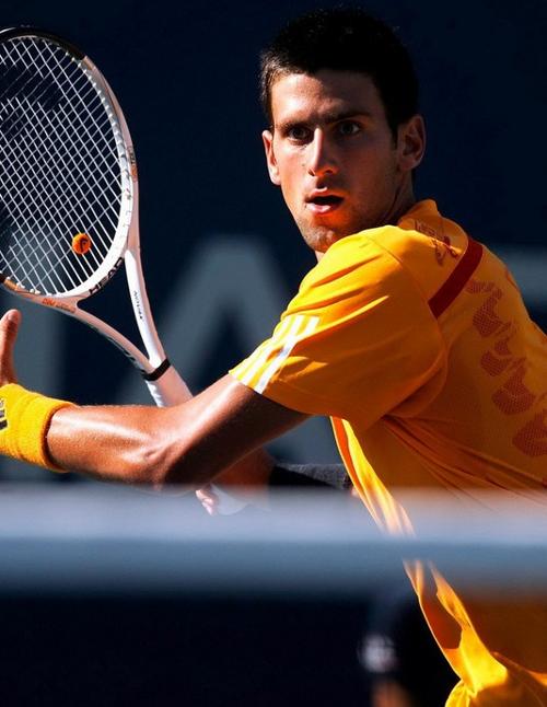 从这些运动 从这些运动